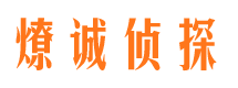 中方市侦探